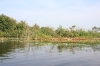 NIEUWKOOP 09-2008 193.JPG